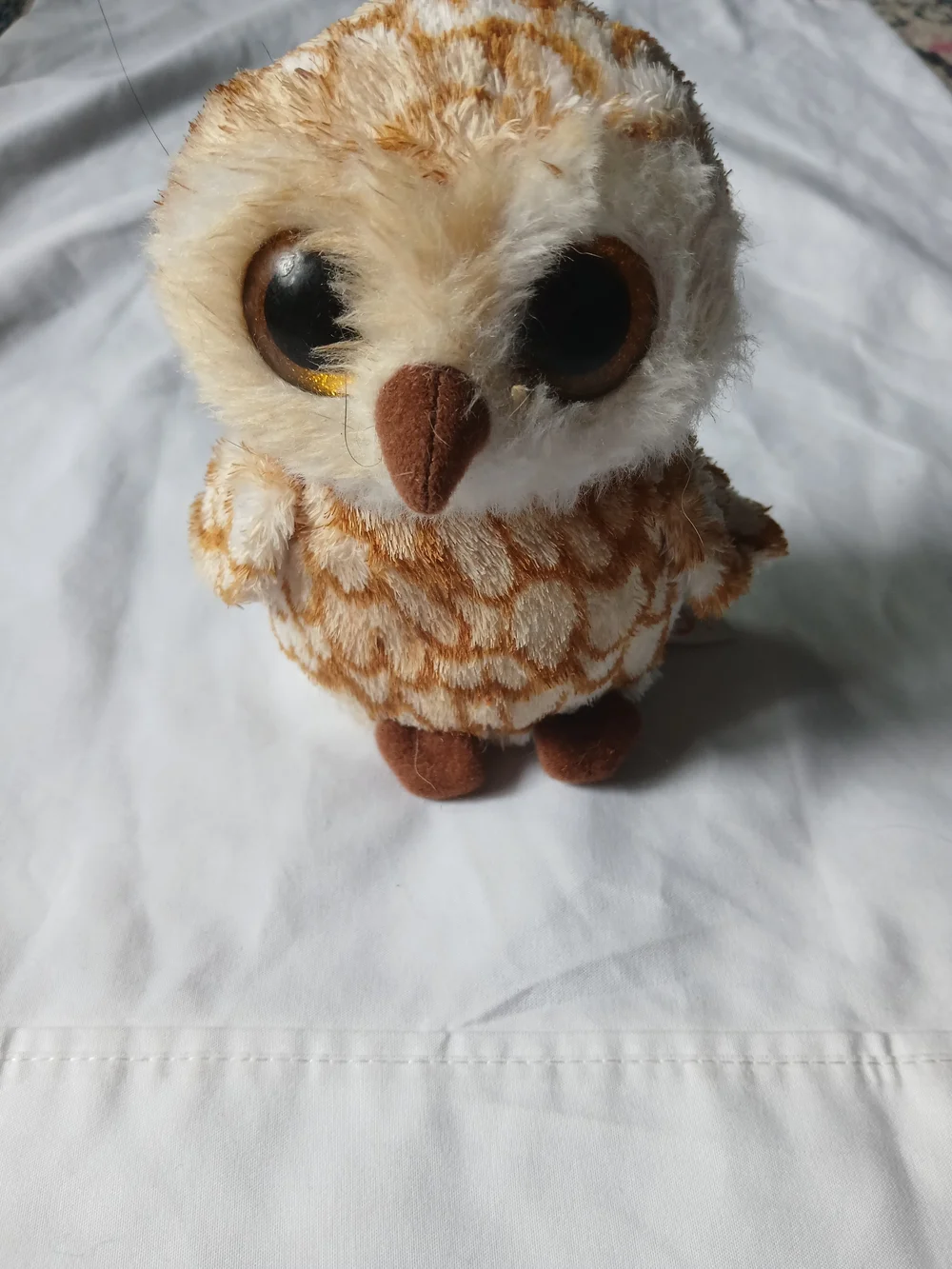 Ty Swoops Barn Owl Small Beanie Boos Plush Toy with Sparkle Eyes 2014 Retired